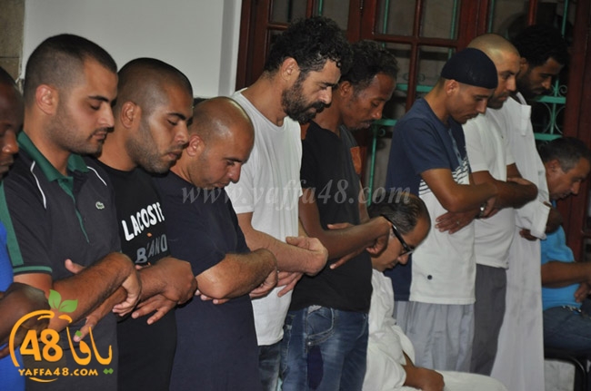 qader yaffa msajed (35).JPG